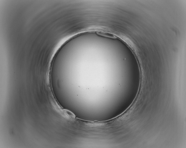 X0000111851296200907301103