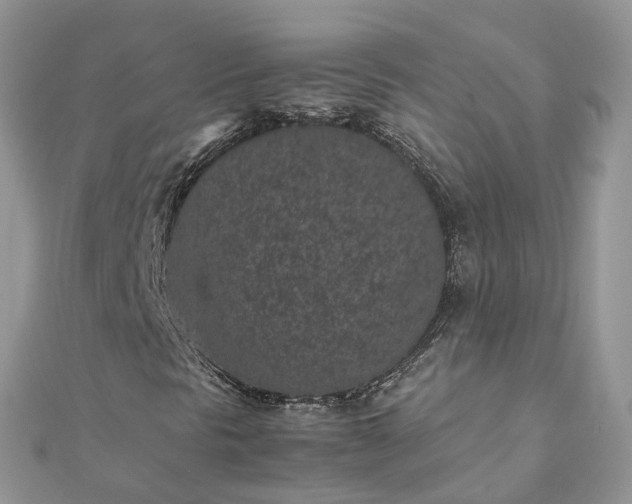 X0000111851297200907301102