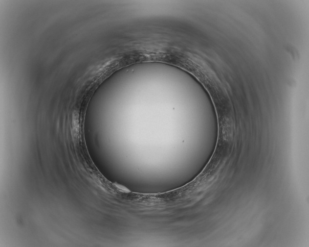 X0000111851298200907301102