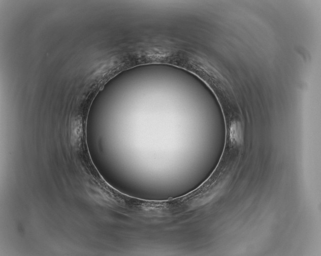 X0000111851299200907301102