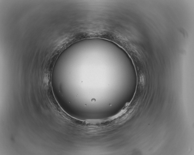 X0000111851300200907301102
