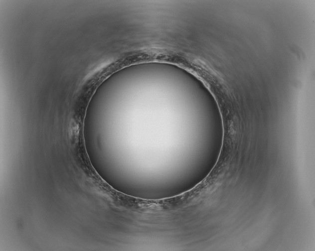 X0000111851302200907301102