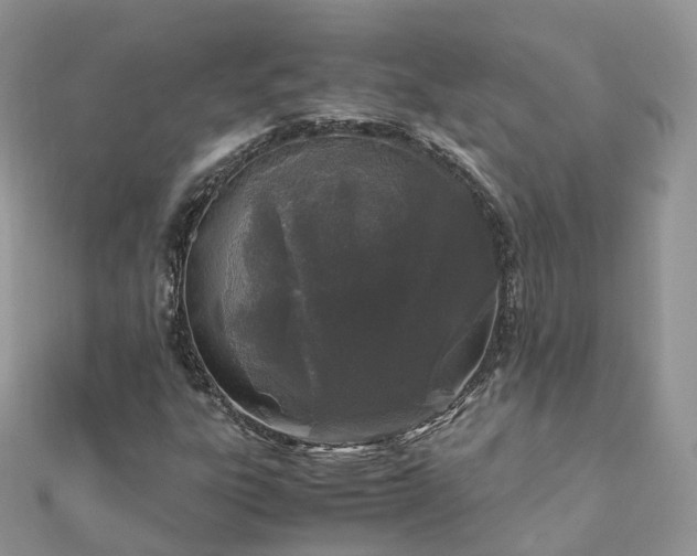 X0000111851303200907301102