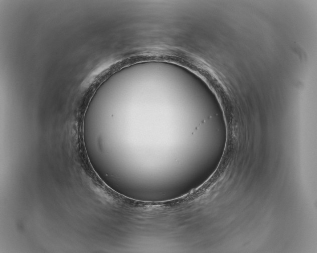 X0000111851304200907301102