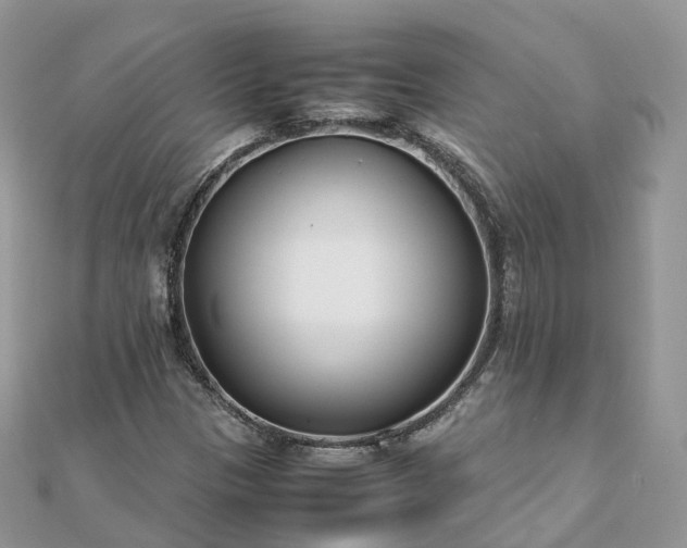X0000111851305200907301102