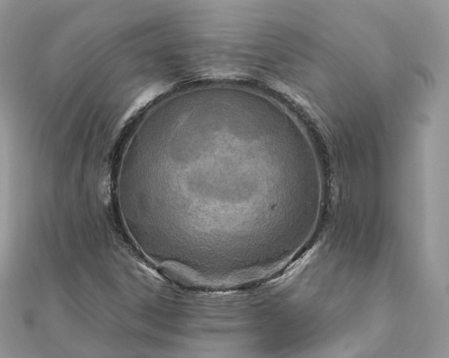 X0000111851306200907301102