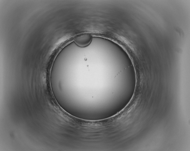 X0000111851307200907301102