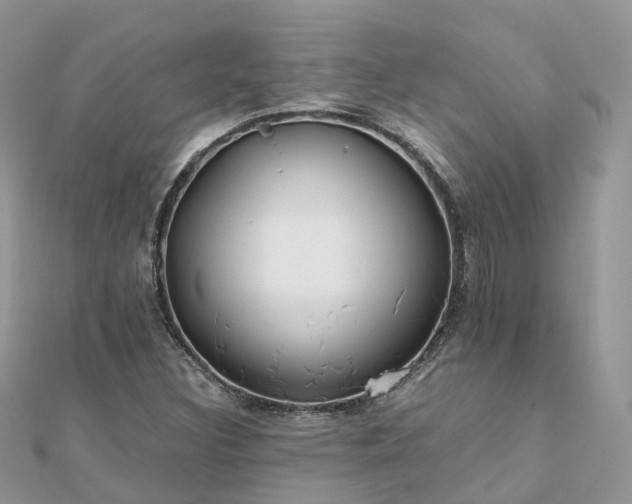 X0000111851308200907301102