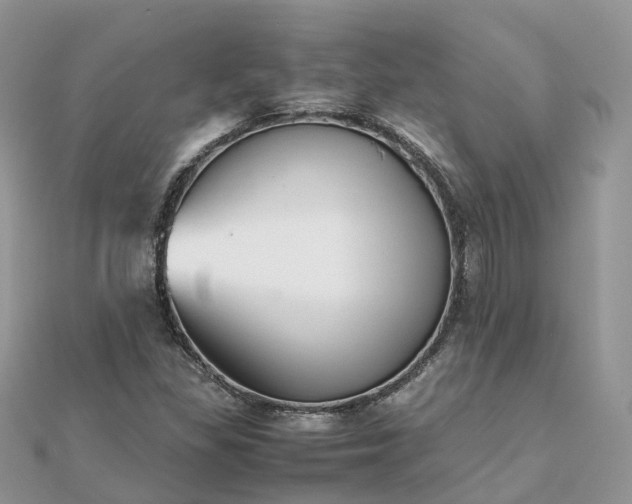 X0000111851309200907301102