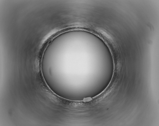 X0000111851310200907301102