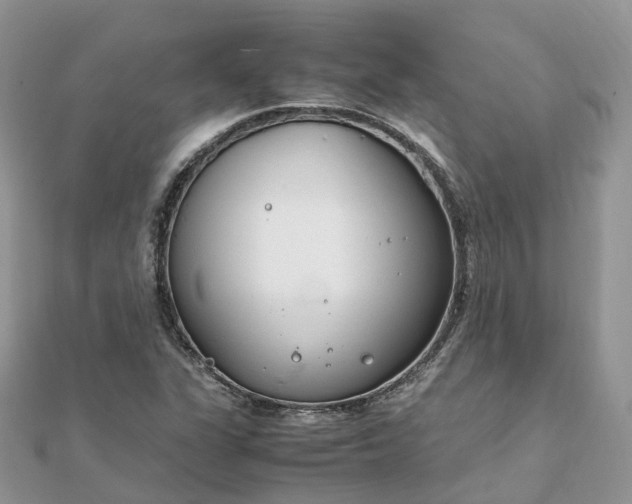 X0000111851311200907301102