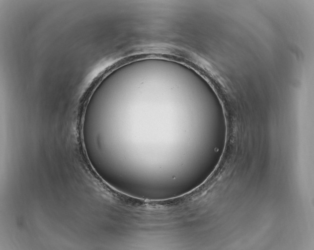X0000111851312200907301102