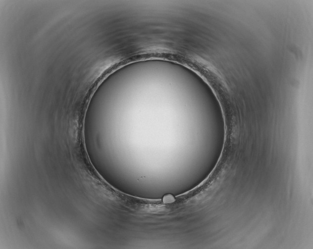 X0000111851313200907301102
