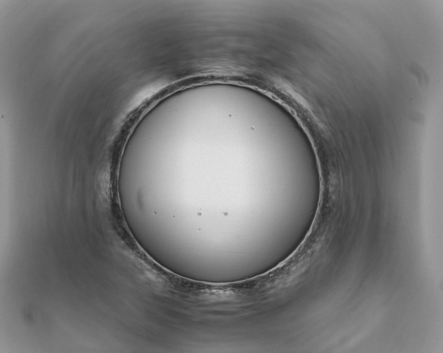 X0000111851315200907301103