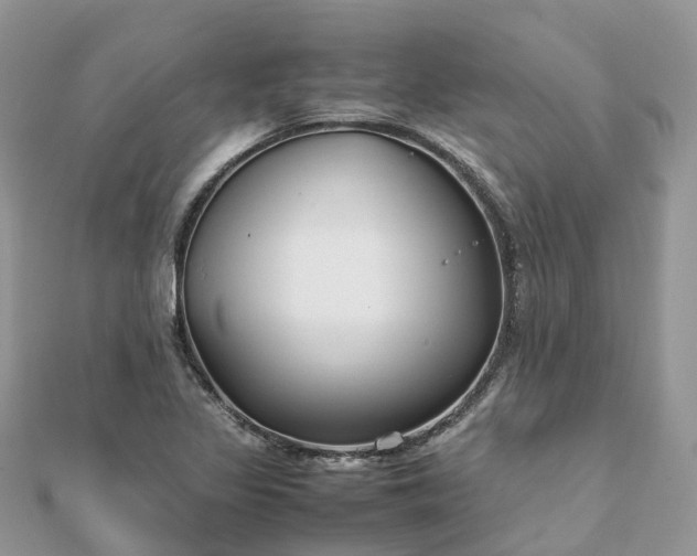 X0000111851317200907301103