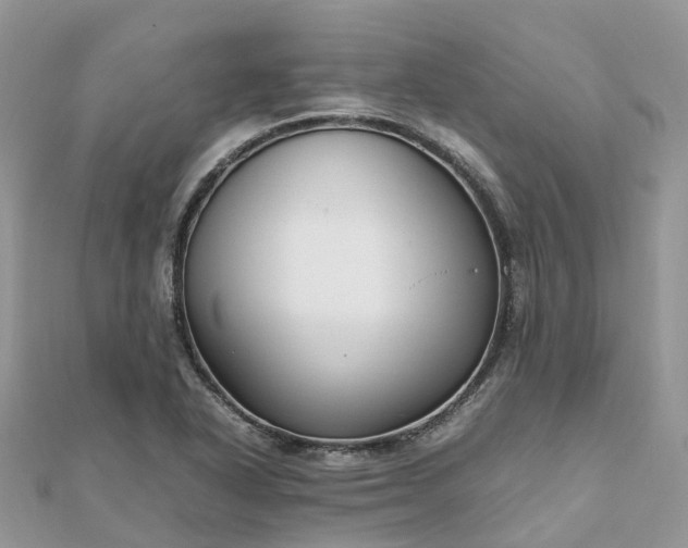 X0000111851318200907301103