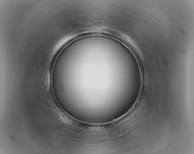 X0000111851320200907301103