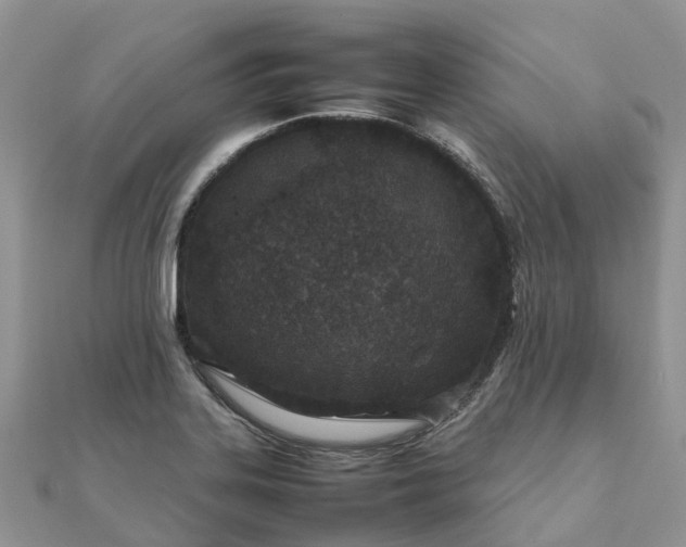 X0000111851323200907301103