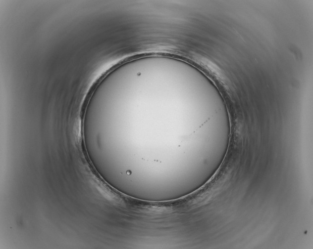 X0000111851324200907301103