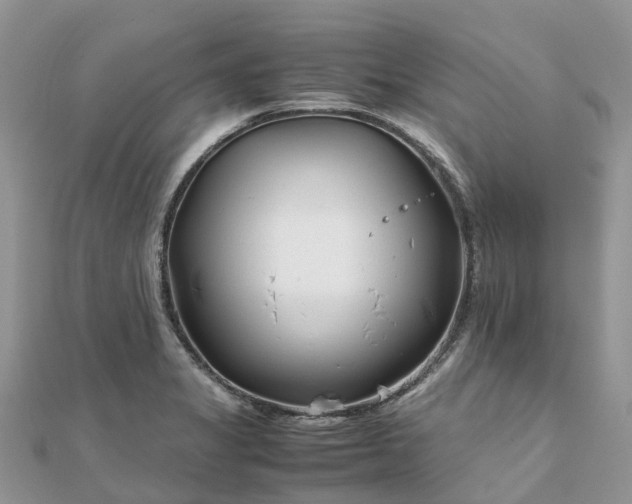 X0000111851325200907301103