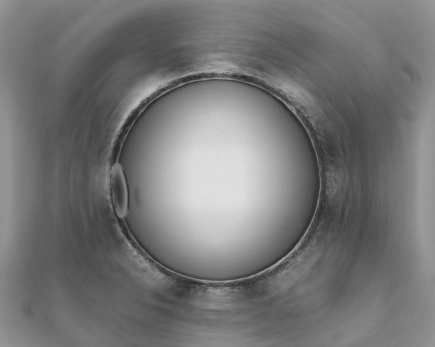 X0000111851326200907301103