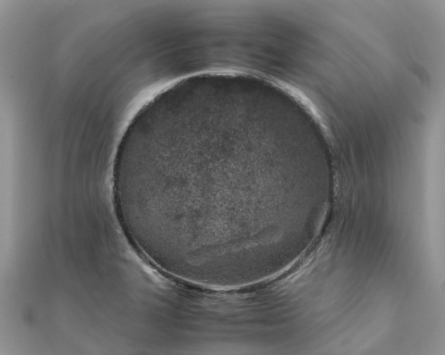 X0000111851327200907301103