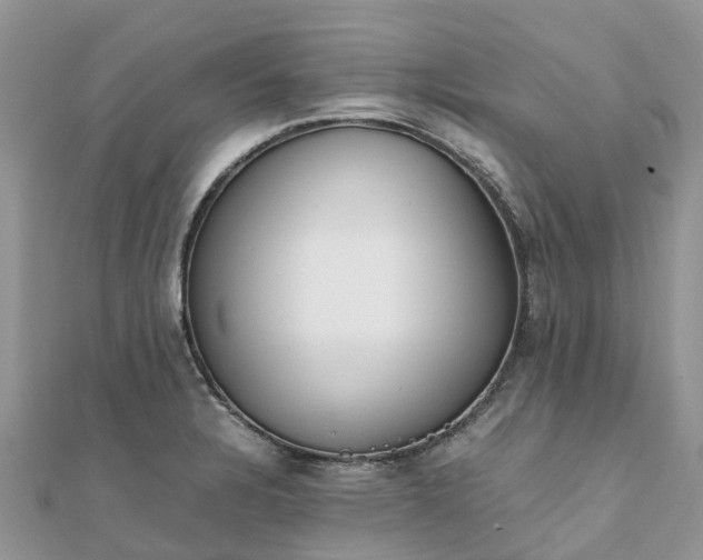 X0000111851328200907301103