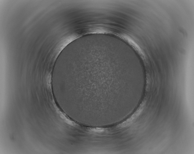 X0000111851329200907301103