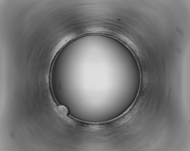 X0000111851330200907301103