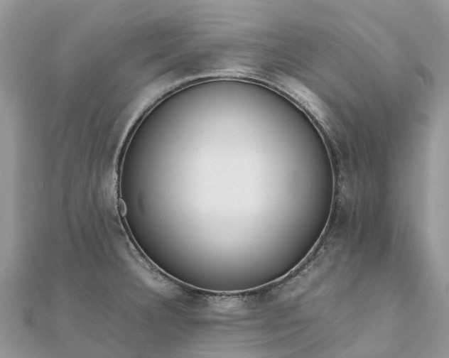 X0000111851332200907301103