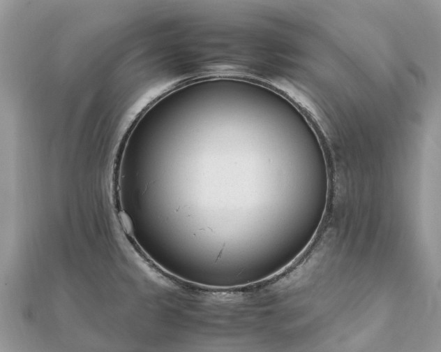 X0000111851333200907301103