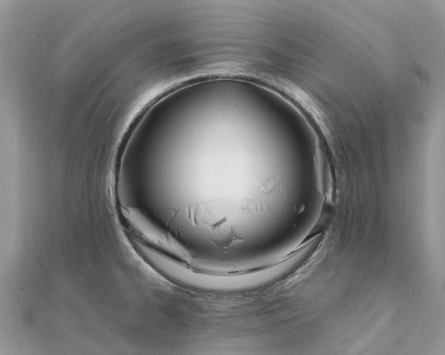 X0000111851334200907301103