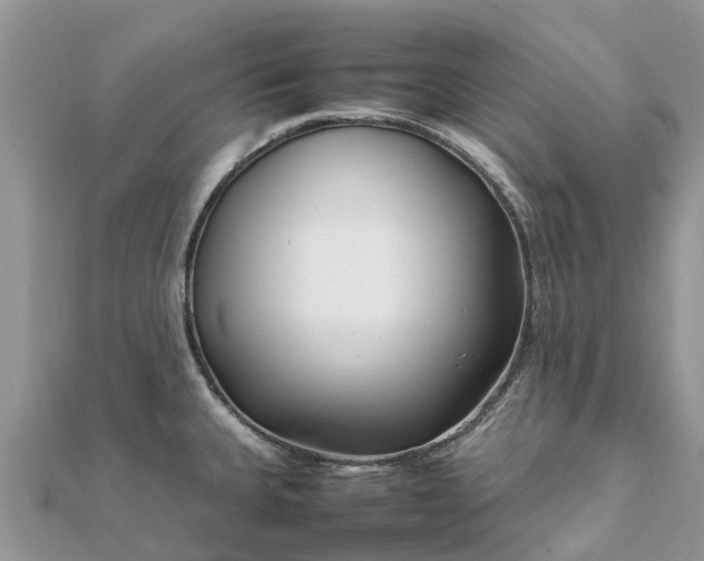 X0000111851335200907301103