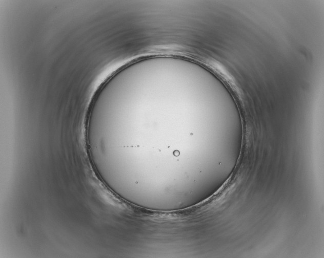 X0000111851336200907301103