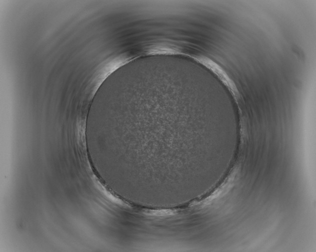 X0000111851337200907301103
