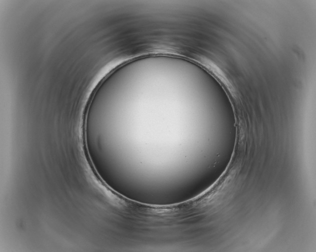 X0000111851339200907301103