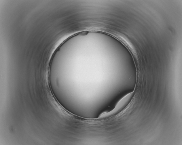 X0000111851340200907301103