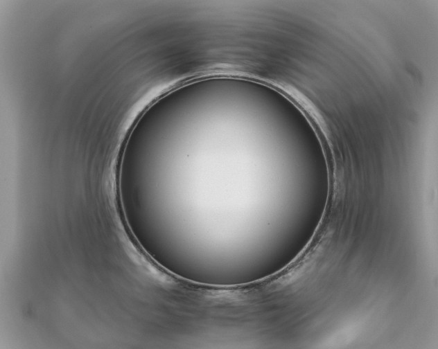 X0000111851341200907301103