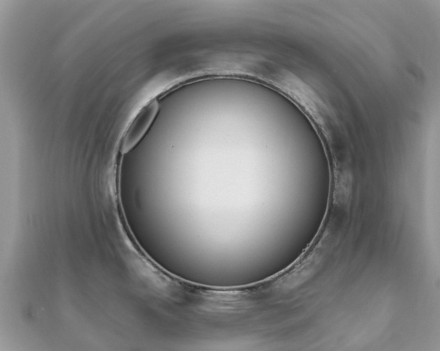 X0000111851342200907301103
