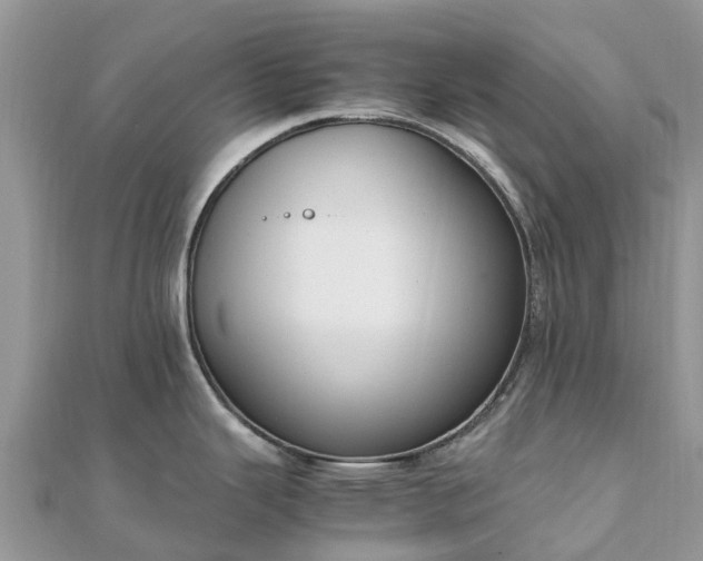 X0000111851343200907301103