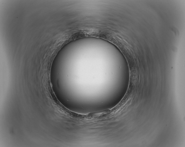 X0000111851345200907301102