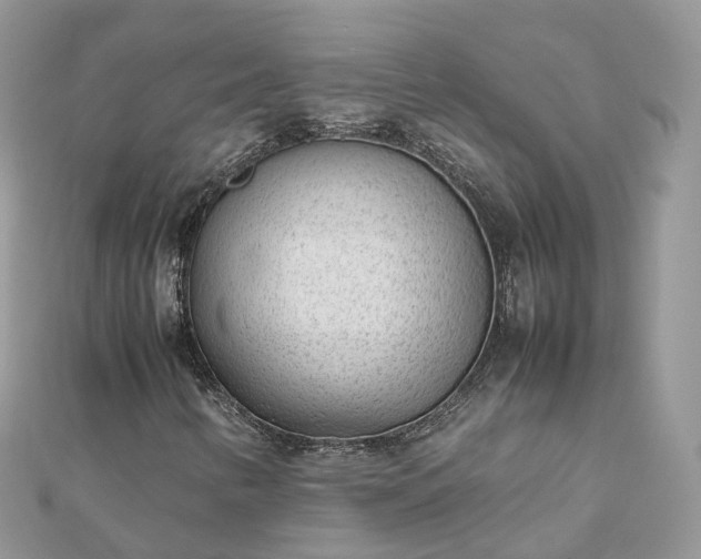 X0000111851346200907301102