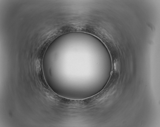 X0000111851347200907301102
