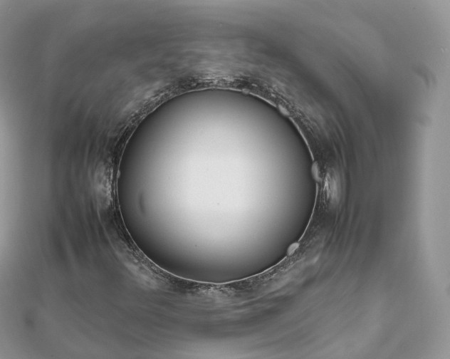 X0000111851348200907301102