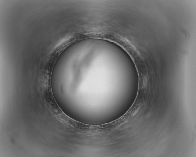 X0000111851350200907301102