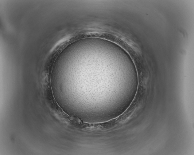 X0000111851351200907301102