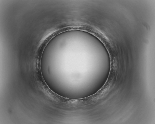 X0000111851352200907301102