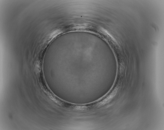 X0000111851353200907301102