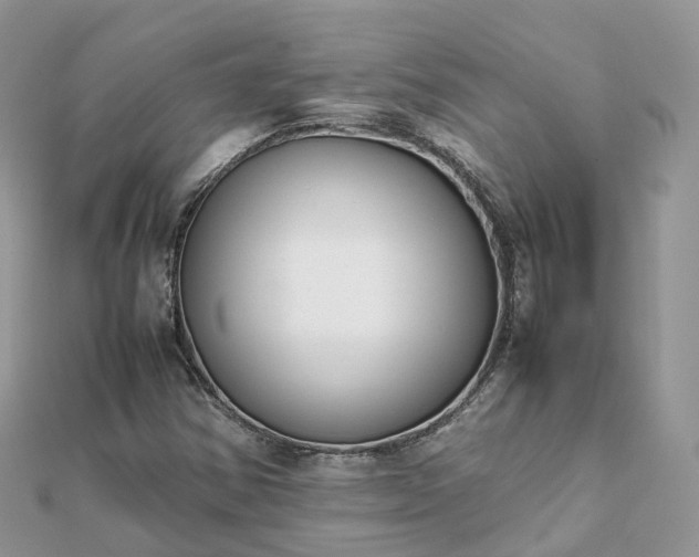 X0000111851354200907301102