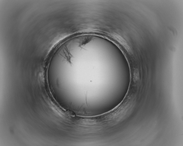 X0000111851356200907301102